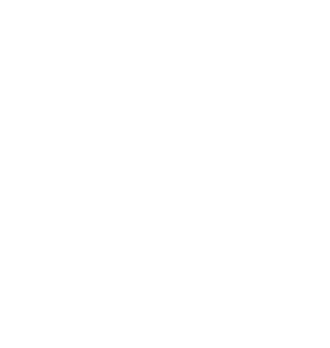 Sylt icon weiß